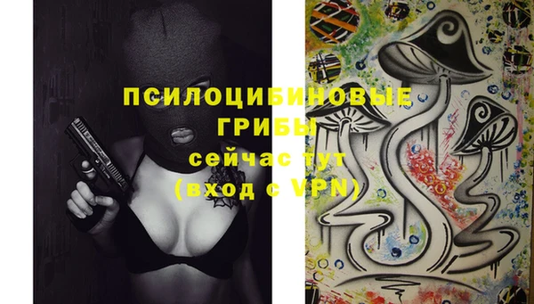 кристаллы Мегион