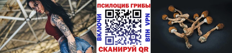 Псилоцибиновые грибы мицелий  где купить   Магнитогорск 