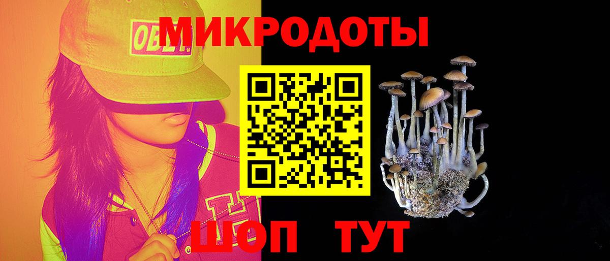 Галлюциногенные грибы Psilocybe Магнитогорск