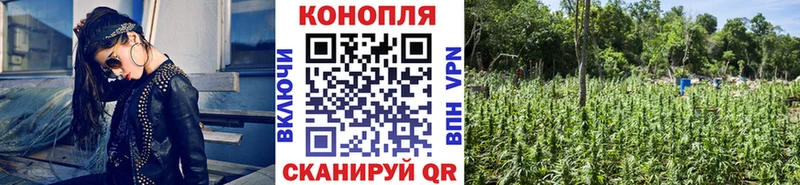 Бошки Шишки White Widow Магнитогорск